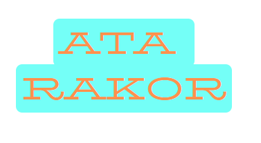 ATA RAKOR BAĞLANTI ELEMANLARI SAN.VE TİC. LTD. ŞTİ