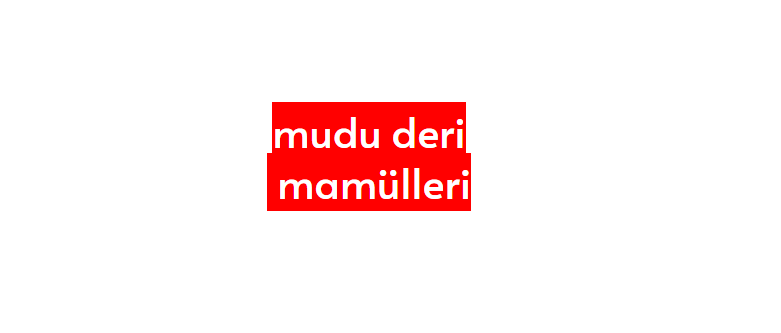 MUDU DERİ MAMULLERİ SAN. TİC. A.Ş.