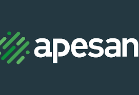 APESAN OTOMOBİL PASPASI SAN. VE TİC. LTD.ŞTİ.