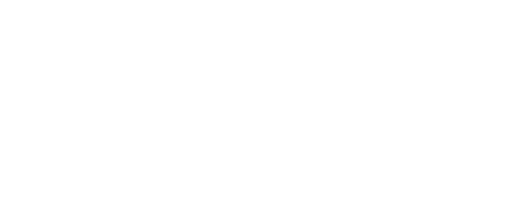 NEVA İTH. VE İHR. SAN. VE TİC.A.Ş.