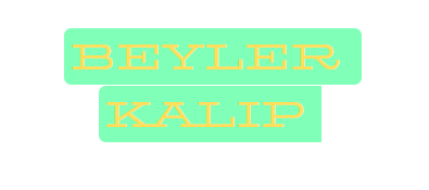 BEYLER KALIP PLASTİK SAN.VE TİC. LTD.ŞTİ.