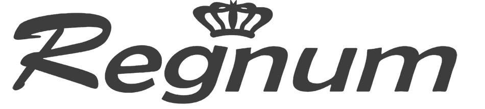 REGNUM OTOMOTİV YAZILIM OTOMASYON BEYAZ EŞYA SAN. TİC. A.Ş.